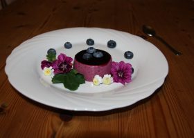 Heidelbeer- Panna cotta