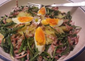 Tradizioneller Löwenzahnsalat